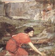 Study:Maiidens picking Flowers by a Stream (mk41) John William Waterhouse